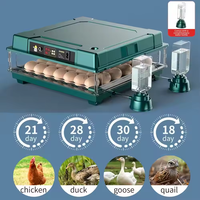 Incubateur à œufs automatique de petite taille entièrement automatique, capacité de 64 œufs, avec un taux d'éclosion élevé pour les poulets