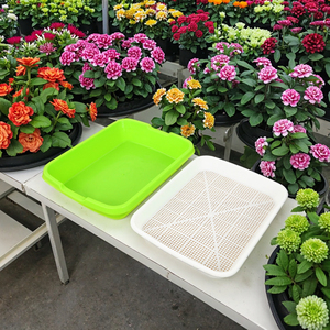 Bandeja de Germinación Hidropónica, Recubierta de Epoxi PP, 32 Celdas, Diseño Rectangular, Bandejas de Vivero Portátiles <span class=keywords><strong>para</strong></span> <span class=keywords><strong>Brotes</strong></span> de Guisantes y Frijoles - Product Image 4