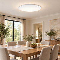 Plafonnier rond à profil bas en gros, coque blanche mate, structure à verrouillage par torsion, pratique pour l'entretien et le remplacement de la lampe