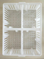 Caisse de Transport pour Poulets de Chair, Cage de Transport en Plastique pour Volailles Vivantes