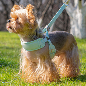 大型中型犬用リーシュ襟セット毛皮装飾付き新品フォームリーシュチェストストラップチェーンペット製品 - Product Image 2