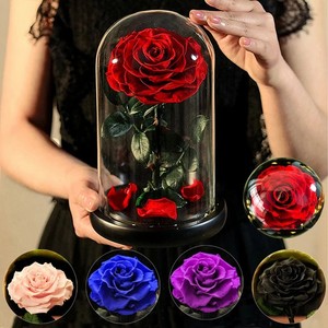Di alta qualità rosa eterna fiore conservato rosa in vaso di vetro della cupola di copertura con regalo - Product Image 1