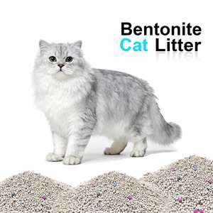 Bentonite cat Litter Manufacturer High Quality Sand cat - Product Image 1