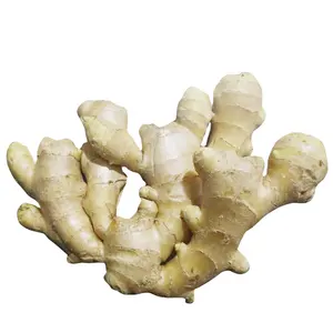 Hot Sale Healthy China Fresh ginger Cheap Dry ginger export with low price