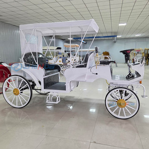 Popular Carroza Turística Clásica Blanca de Lujo Personalizada de Alta Gama con 4-8 Asientos / Carroza Eléctrica Turística Europea - Product Image 1