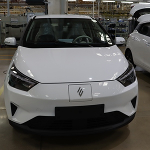 Nuova <span class=keywords><strong>Auto</strong></span> Elettrica EV3 LHD ad Alta Velocità, 4 Posti, 5 Porte, Autonomia 290km - Product Image 3