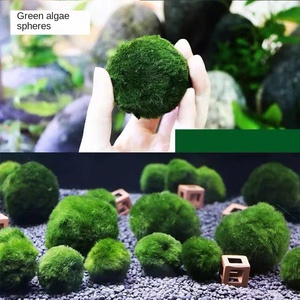 Chlorophyta Zeewier Bal Milieuvriendelijk Plastic Waterplanten Garnalenaquaria Beginnende Landschapsarchitectuur Gebruiken Negatief Water Accessoire - Product Image 2