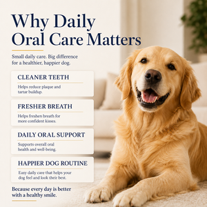 Polvo Dental para Perros Plaque Defense, Soluciones Llave en Mano, Fórmula Personalizada de Marca Privada, Cuidado Bucal sin Cepillado - Product Image 2