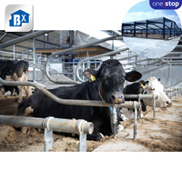 Structure en acier préfabriquée pour hangar d'élevage laitier et abri pour vaches, atelier en acier, conceptions à faible coût avec services de soudage et de découpe