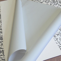 Rouleaux de papier peint en PVC imprimable, habituellement vierges, revêtement PE double face aseptique sans amiante, jetables et recyclables