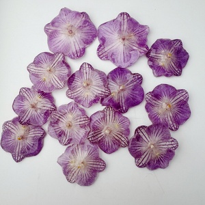 Pingente de Orquídea Seca Real em Resina UV Ecológica, Delicado e Elegante, em Várias Cores, para Colar e Brinco - Product Image 6