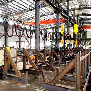 Atelier de conception industrielle de structures en acier léger TianPuAn Building Materials avec assistance technique et installation sur site - Product Image 2
