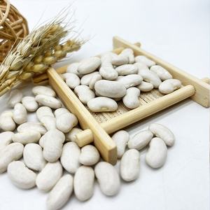 Nouvelle récolte <span class=keywords><strong>de</strong></span> gros <span class=keywords><strong>haricots</strong></span> <span class=keywords><strong>blancs</strong></span> en vrac, prix d'usine, haute qualité, vente en gros - Product Image 5