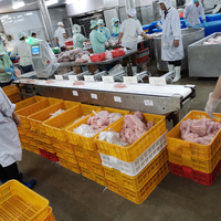 Qualité standard Poids de la bande transporteuse et trieuse pour filets de poisson traitement