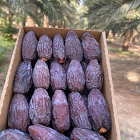 Biologische Bulk Zachte Kauwbare Gedroogde Dadels 100% Natuurlijke Zoetheid Klaar om te Eten Energie Snacks Gezond Eten Culinair Gebruik