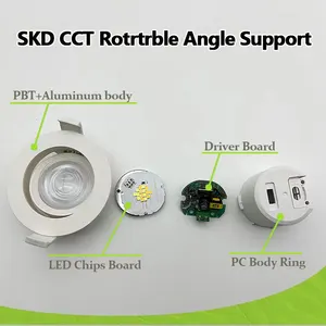 Competitive Price 3CCT 3000K 4000K 6500K Adjustable LED Spot Light