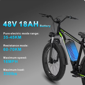 26인치 전기 산악 및 시티 자전거 F26 (250W 모터, 25km/h 속도, 리어 허브 모터, 48V 18Ah 리튬 배터리) - Product Image 3