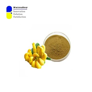 프리미엄 감귤류 베르가못 추출물 40% 폴리페놀 | 천연 항산화 및 심혈관 지원 | 이탈리아 베르가못 오렌지 파우더 - Product Image 4