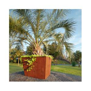 Vase de jardin rectangulaire en métal enduit de poudre personnalisé jardinière en acier Corte pour l'extérieur