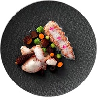 Assiette plate en céramique personnalisée à motif de pierre unique de style français Plats et assiettes