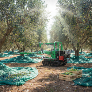 Machine à récolter les olives et les noix sur chenilles, moteur essence 22 CV, secoueur d'arbres pour noix, pecans, olives, pommes, mangues sur les pentes - Product Image 1