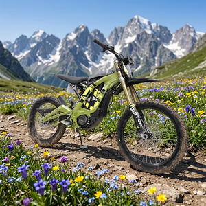 Moto électrique tout-terrain Surron Light Bee X 2025 – 8KW 60V 40Ah – Vélo électrique intelligent pour adultes - Product Image 6