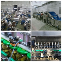 Entièrement Automatique En Conserve Fruits Légumes Lignes De Traitement Cornichon Olive Pickle Line Machines