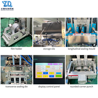 Machine d'emballage automatique multi-voies à commande servo pour le scellage de bâtonnets de mayonnaise liquide, applicable à diverses pâtes et liquides