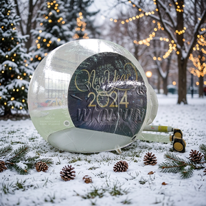 Tente bulle gonflable WINSUN Snow Globe - Étanche, alimentée par prise, pompe électrique thermoscellée, taille personnalisée, installation facile - Product Image 1