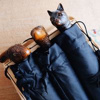 Parapluie pliant personnalisé de 21/23 pouces Parapluie design avec logo Parapluie avec manche en bois animal du zodiaque Ensemble cadeau pour voyage d'affaires