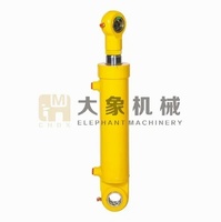 Vérin hydraulique à double effet robuste pour flèche d'excavatrice à œil sphérique