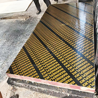 Pegamento fenólico WBP de madera contrachapada con revestimiento de película marrón de cocodrilo ecológico de 18mm de espesor E1 Estándares de emisión de formaldehído para la construcción