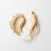 Extrait de Ginseng Panax Naturel en Poudre Qualité Alimentaire Rapport 10:1 Emballé Sous Vide pour l'Énergie