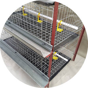 Nuovo Design caldo tipo batteria gabbia di pollo gabbia di carne con capezzolo bevitore per allevamento di pollame - Product Image 1