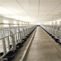 Cage de gestation pour truies, cage de mise bas pour truies, cage de gestation à colonne galvanisée à chaud pour élevage porcin, équipement d'élevage