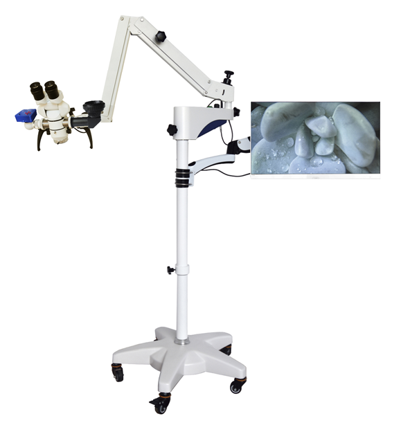 High Resolution 0-180 Degree Rotating Binocular Multifunctional Surgical Microscope at Affordable