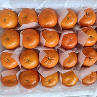 Mandarines fraîches 10 kg, couleur orange jaune, durée de conservation 1 an, provenance Jiangxi Chine