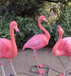 Parque temático simulación animales modelo flamenco - Product Image 6
