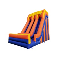 Toboggan gonflable commercial à double piste pour parcs d'attractions - Certifié CE, capacité inférieure à 30 kg, 3-5 passagers