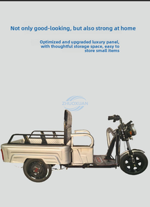 Portable Heavy Load Electric Tricycle Flexible Mover <b>Passenger</b> Cargo Dual Use Car - Product Image 2