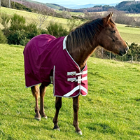 Couverture d'écurie professionnelle pour chevaux, imperméable, couverture d'hiver bleue, tissu 1200D, fausse fourrure pour le cou, garde au chaud contre le vent