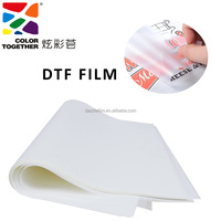 Film de transfert DTF Premium 60cm 100m en rouleau, pelable à froid et à chaud, double face mat pour impression textile numérique