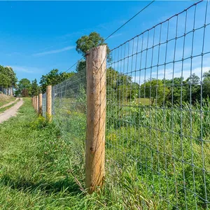 Granja campo ganado caballo cabra ciervo valla de malla de alambre barrera al por mayor sostenible sumergido en caliente de acero galvanizado valla de ganado ro