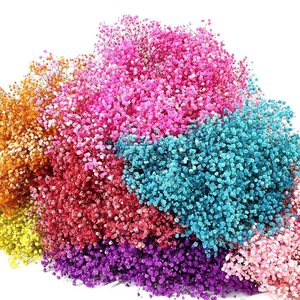 Venta al por Mayor <span class=keywords><strong>de</strong></span> Gypsophila Natural Seca, 120g/Bolsa, 400g/Bolsa, Ramo <span class=keywords><strong>de</strong></span> Flores <span class=keywords><strong>de</strong></span> Gypsophila para Centros <span class=keywords><strong>de</strong></span> Mesa <span class=keywords><strong>de</strong></span> Boda - Product Image 4