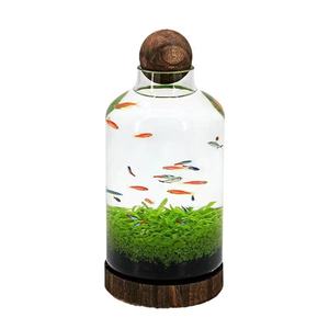 Großhandel <span class=keywords><strong>Bulk</strong></span> Glass Plant <span class=keywords><strong>Terrarium</strong></span> mit Holz ständer Large Plant <span class=keywords><strong>Terrarium</strong></span> Glas mit Holz sockel - Product Image 5