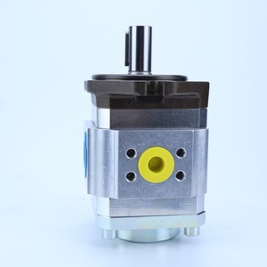 ปั๊มเกียร์ไฮดรอลิกภายใน Lainuo รุ่น PGI102 ซีรีส์ PGI102-2-008-RK03-11-6100 PGI102-2-004-RK03-11-6100 - Product Image 4