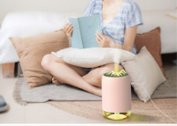 OEM 260ML Mini humidificateur d'air portable à LED USB pour chambre à coucher Humidificateur ultrasonique Nano pulvérisateur de brume Mini lumière chaude manuelle