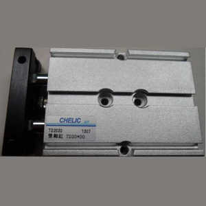 Cilindro Mini Estándar Chelic TD20*30, Cilindro de Pistón Rotatorio sin Vástago - Product Image 1