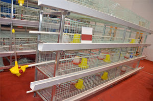 Desinfección fácil antibacteriana multicapa adecuada para bases de cría de pollos de engorde orgánicas jaulas higiénicas para pollos de engorde - Product Image 5