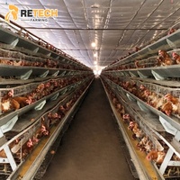 Simplee — équipement agricole de volaille avec Cage de couche pour poulet, système de batterie entièrement automatique